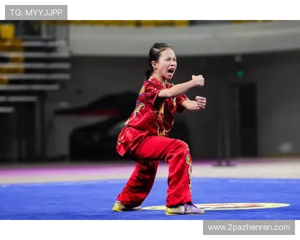 南京武术比赛：传承传统文化，展现武术魅力的盛会